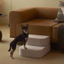 펫토 | 펫토 클린펫 계단 후기와 경험으로 안전하고 편리한 반려동물 이동 추천