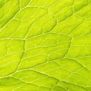 북면376 | 가평 수상레저 추천 남이섬 포시즌 내돈내산 후기