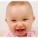 머큐리덴탈 이미지