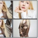 엔데이 이미지