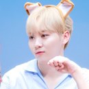 아리산 중화요리 네이버블로그