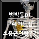 (주)그레이트짐 이미지