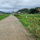 보동경로당 이미지