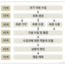 심리평가의 실제 이미지