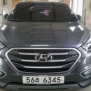 프로카VIP 이미지