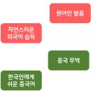 수준별 영어과외 수학과외 전과목 중학생 고등학생 개인별맞춤 수업 가능합니다 (삼평동) 이미지