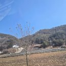 강원특별자치도 영월군 영월읍사무소 이미지