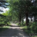 솔치송어파티 이미지