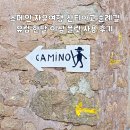 스페인 자유여행 산티아고 순례길 유럽 한달 이심 플릿 eSIM 사용 후기