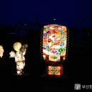 향기로운 염원 이미지