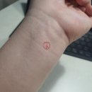 서울상곡초등학교 | 노원구 상계10동 제3투표소 :: 서울상곡초등학교 투표 총총