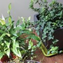 일공일(101) 이미지