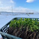 덕용농장 이미지