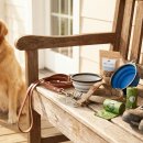 강아지산책 이미지