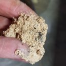 수원-0359 이미지