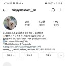 퍼피블러썸 이미지