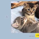 아니 - 강남구 삼성로145길 11-6 | 아니