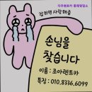 부산 렌트카 추천 다우렌트카 동래영업소 부산 다우렌트카, 저렴하고 정직한 선택