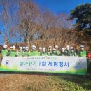 국립산림과학원
산림바이오소재연구소 이미지