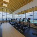 몰디브커피 이미지