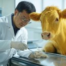 병길농장 이미지