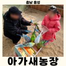 홍성청계닭농장 | 홍성 아이와 가볼 만한 무제한 동물 먹이 체험 아가새농장