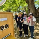 장계한들로 이미지