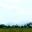 밀양아리랑 오토캠핑장 이미지