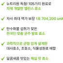700204 이미지