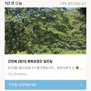 벌써 소진 전인가봐