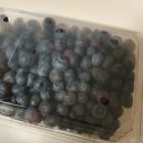 난전농장 이미지