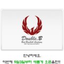 새롭개 이미지