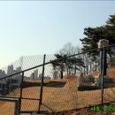 최정걸 장군묘 이미지