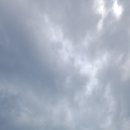 하이퐁