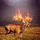 짬뽕시대 이미지