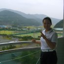 핑크 스파이더 이미지