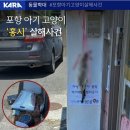 포항 아기 고양이 &#39;홍시&#39; 살해사건 (※ 사진 주의) 이미지