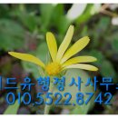 위드유 행정사 사무소 이미지