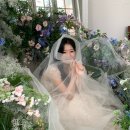 강남 어반스튜디오 토탈 웨딩촬영 후기 (추가금 0원으로 찍고온..)