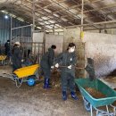 대신목장 이미지