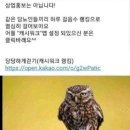 (15회) 이미지