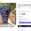 투데이샤인 이미지