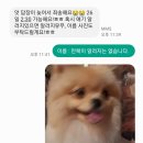 pit a pet (핏어펫) 이미지