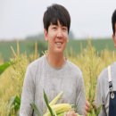 삼삼농장 이미지