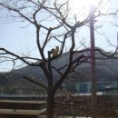 소풍전날 이미지