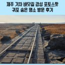 일과1리 | 제주 기차 바닷길 감성 포토스팟 서귀포 숨은 명소 방문 후기