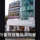 서울 강남 논현동 성형외과 추천 에이블리성형외과의원 서울 강남 논현동 성형외과 추천 – 안전과 신뢰...