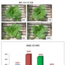 팜한농의 원예작물 생육 맞춘 완효성 비료 &#39;한번에아리커&#39; - 특허기술