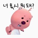 서울시 영테크 / 왜 안해..? 무료인데?!?!