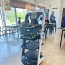 명랑국시 이미지